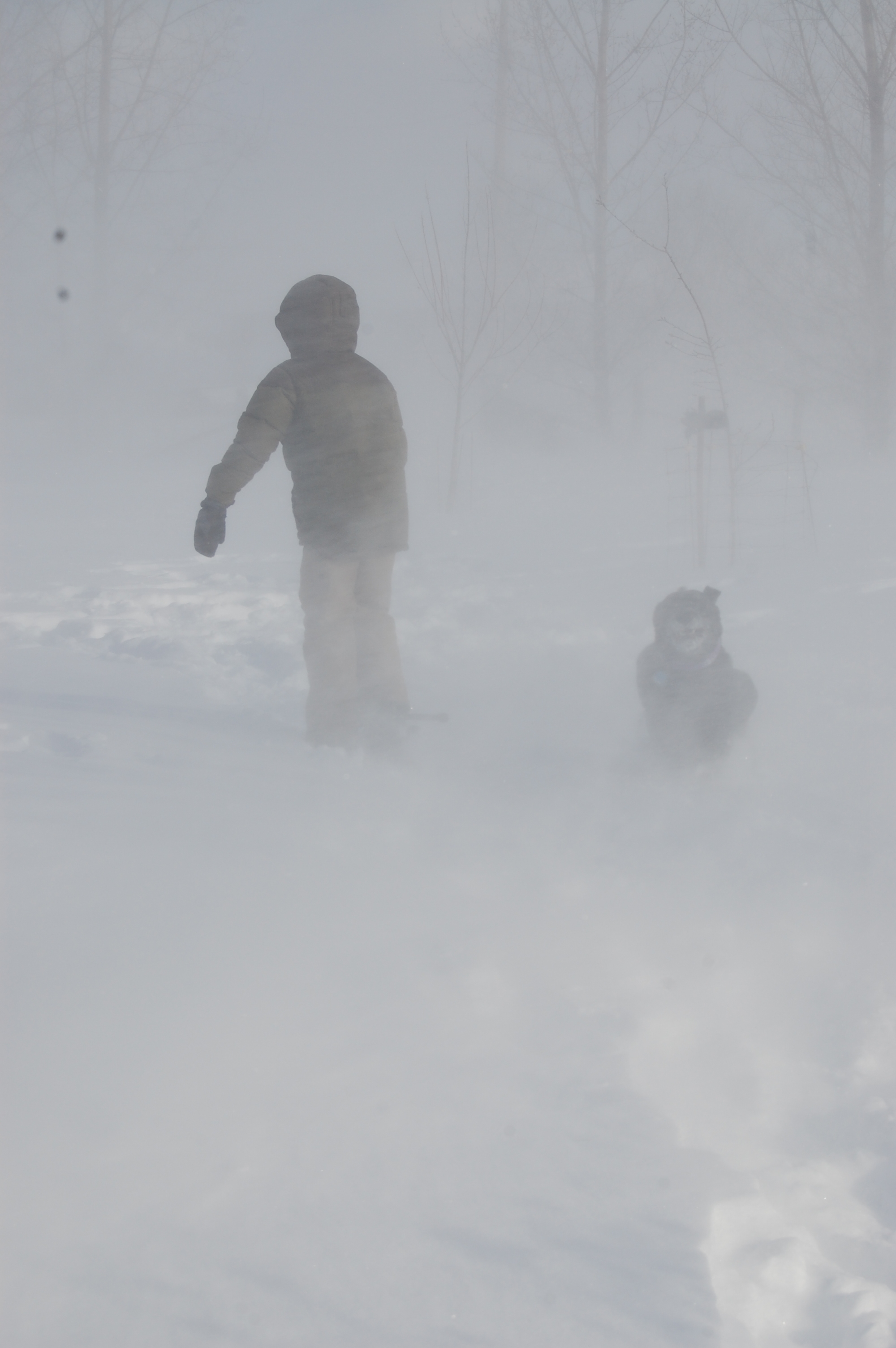 boy-walking-through-snowstorm-with-his-dog – Petkid: One kid's blogging  adventure